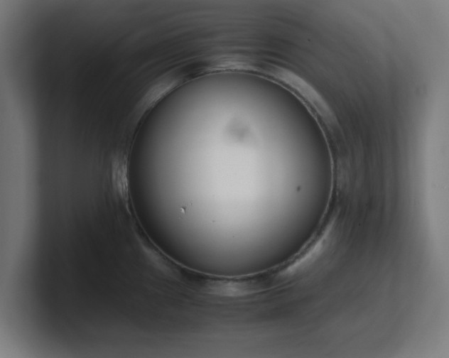 X0000101661241200807171307