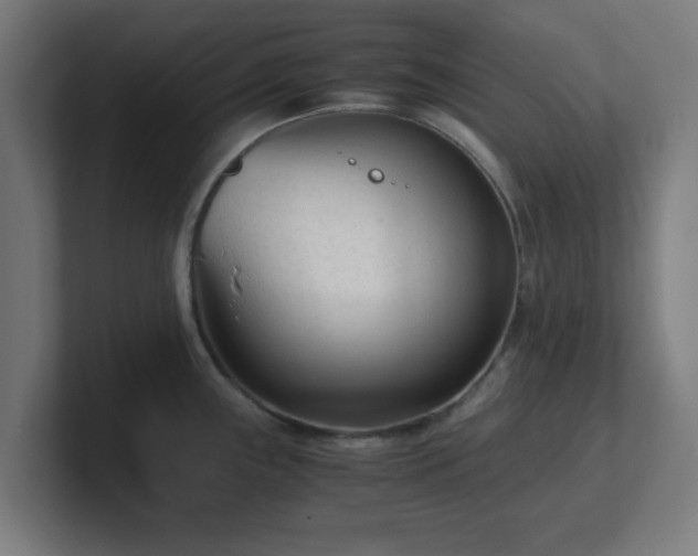 X0000101661243200807171307