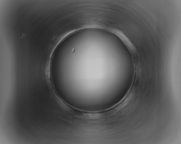 X0000101661244200807171307