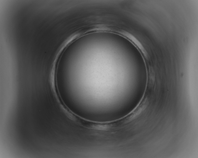 X0000101661245200807171307