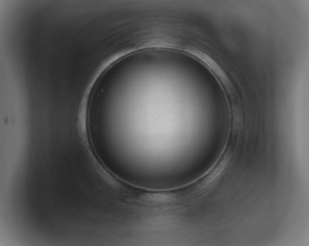 X0000101661246200807171307