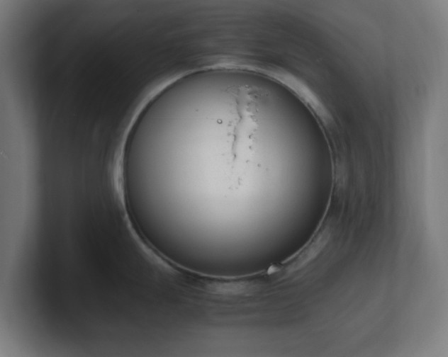 X0000101661247200807171307