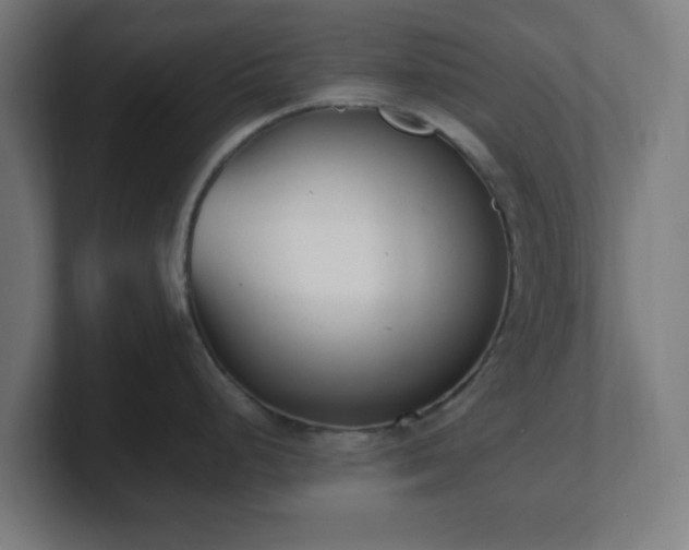 X0000101661248200807171307