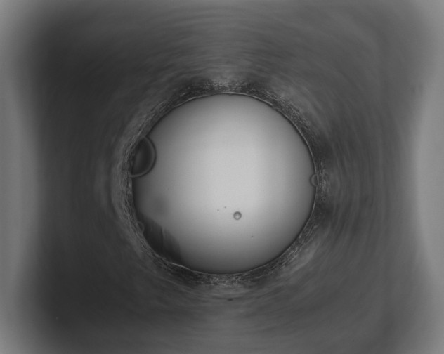 X0000101661249200807171306