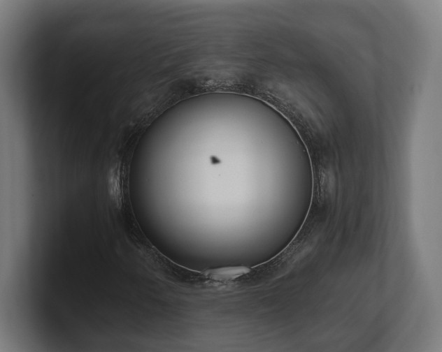 X0000101661250200807171306