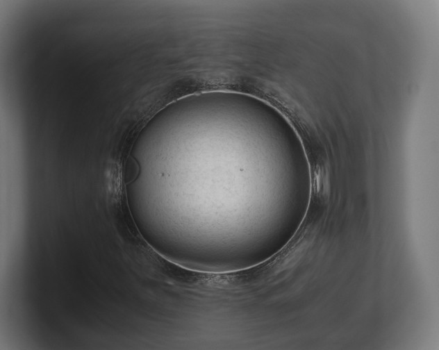 X0000101661251200807171306