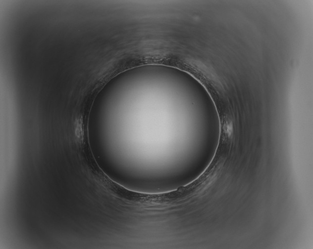 X0000101661252200807171306