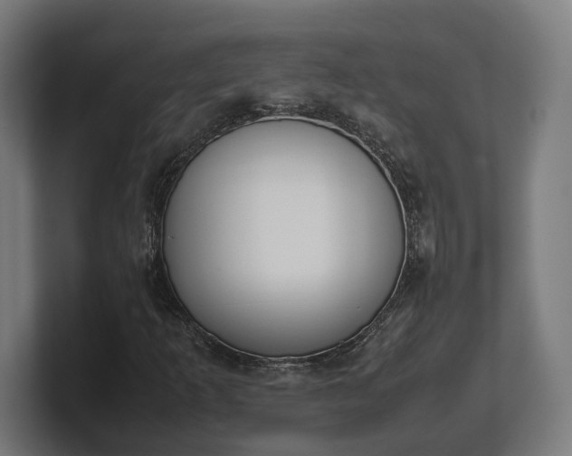 X0000101661253200807171306