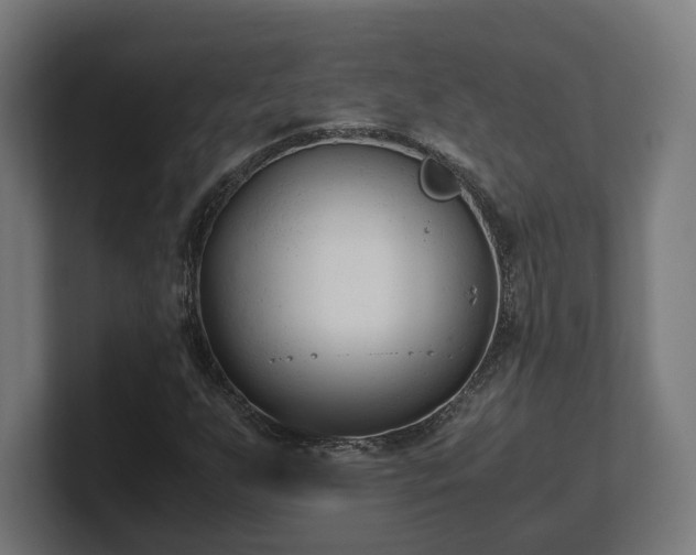 X0000101661255200807171306