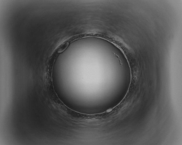 X0000101661256200807171306