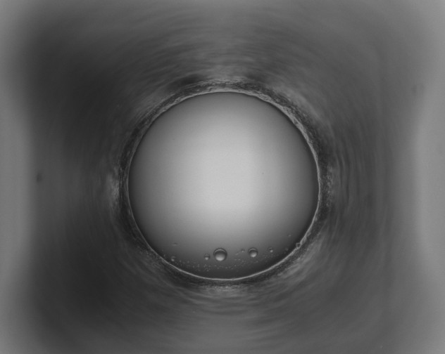 X0000101661257200807171306