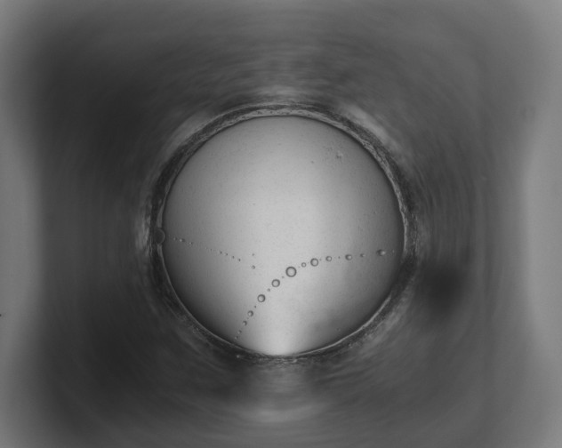 X0000101661259200807171306