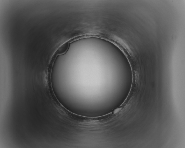 X0000101661260200807171306