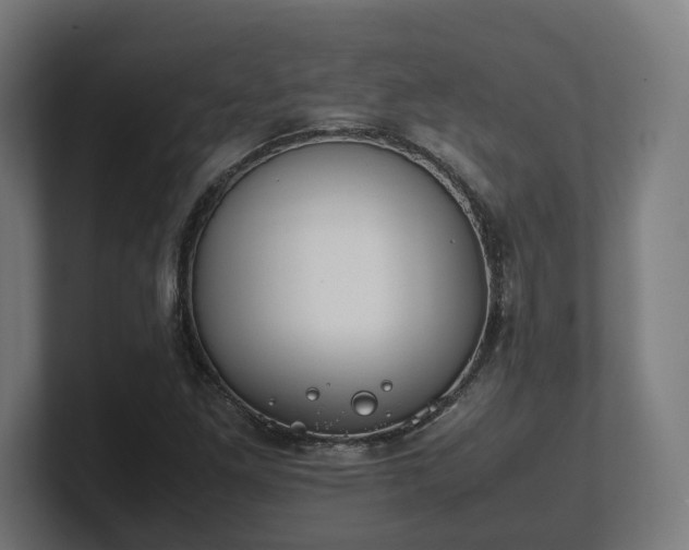 X0000101661261200807171306