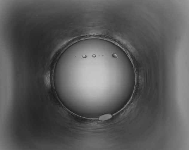 X0000101661262200807171306