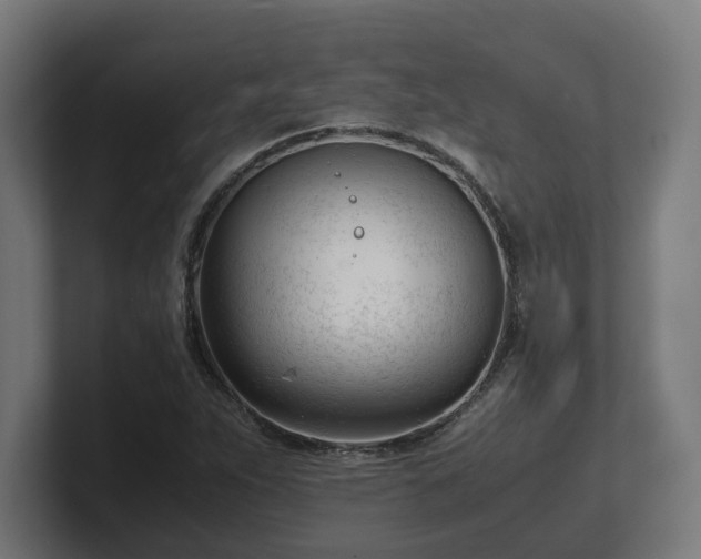 X0000101661263200807171306