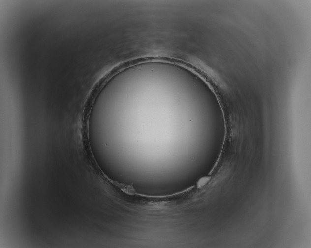 X0000101661264200807171306