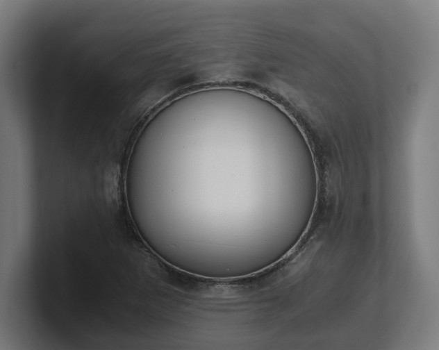 X0000101661265200807171306