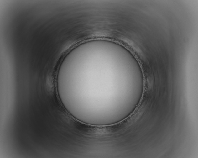 X0000101661266200807171306