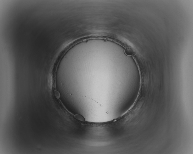 X0000101661267200807171306