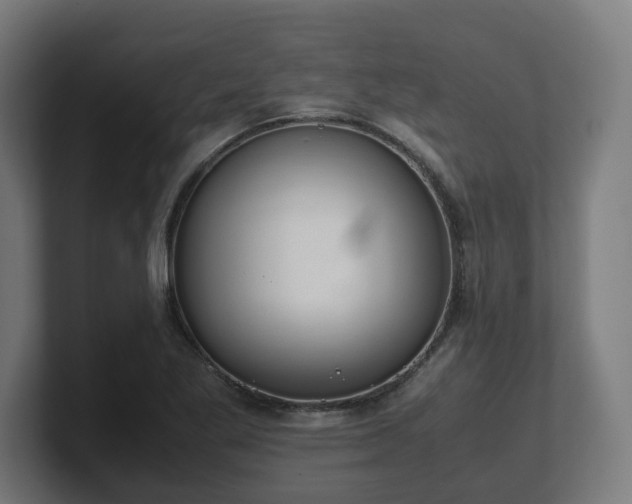 X0000101661269200807171306