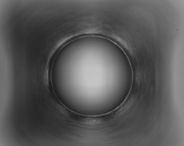 X0000101661270200807171306