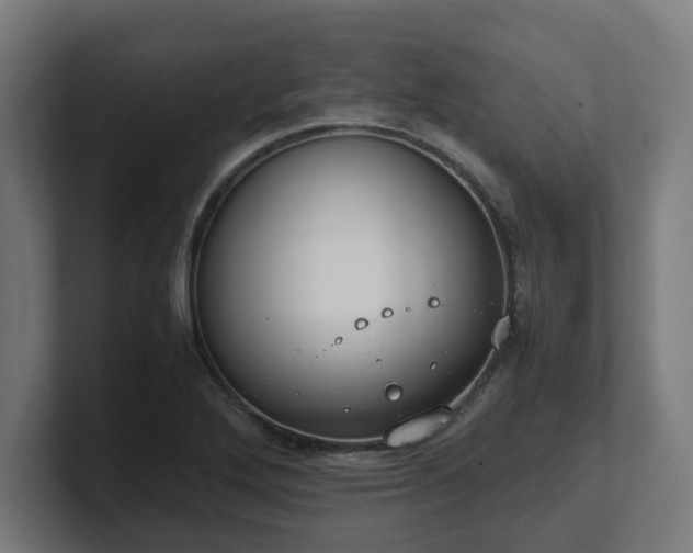 X0000101661272200807171306