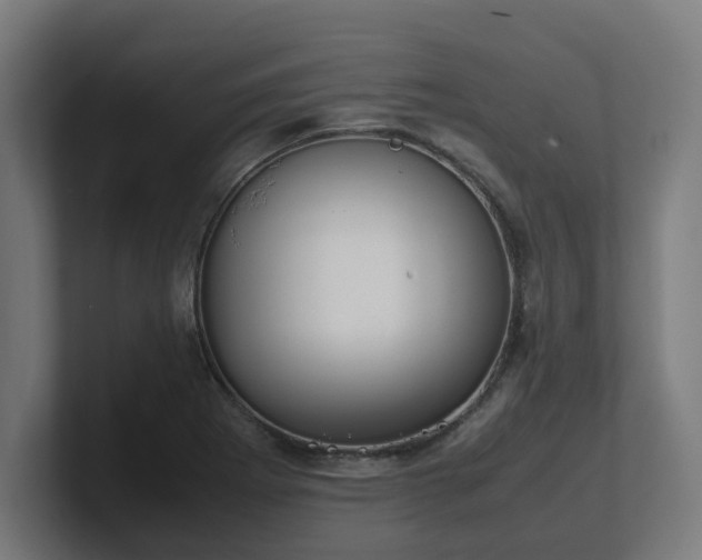 X0000101661273200807171306