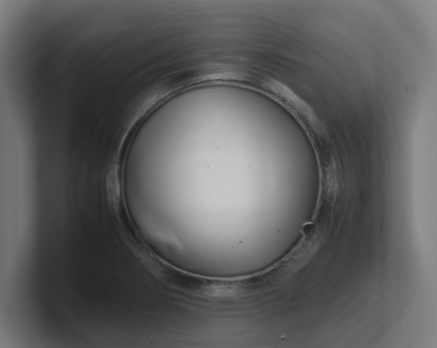 X0000101661274200807171306