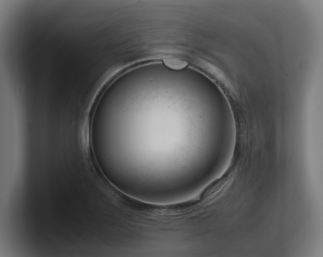 X0000101661275200807171306