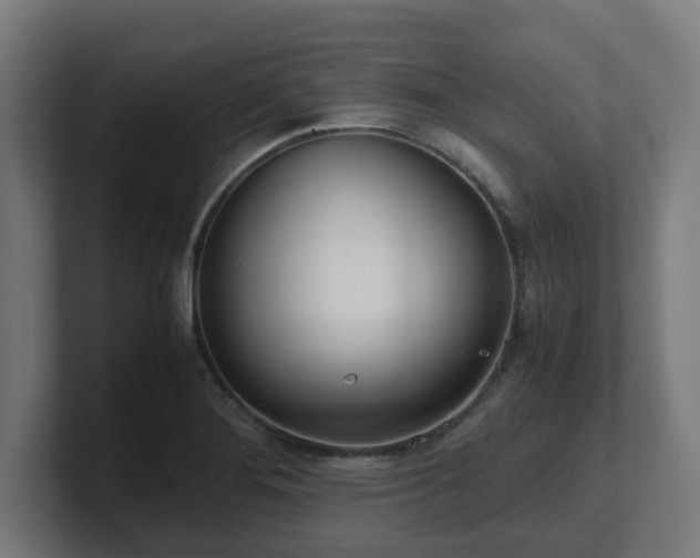 X0000101661276200807171306