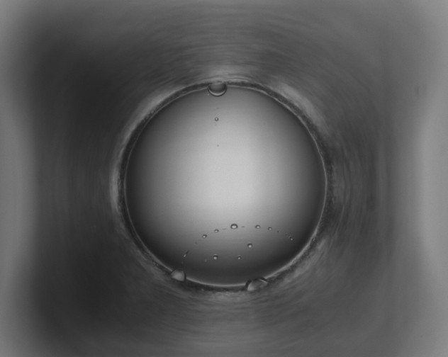 X0000101661277200807171306