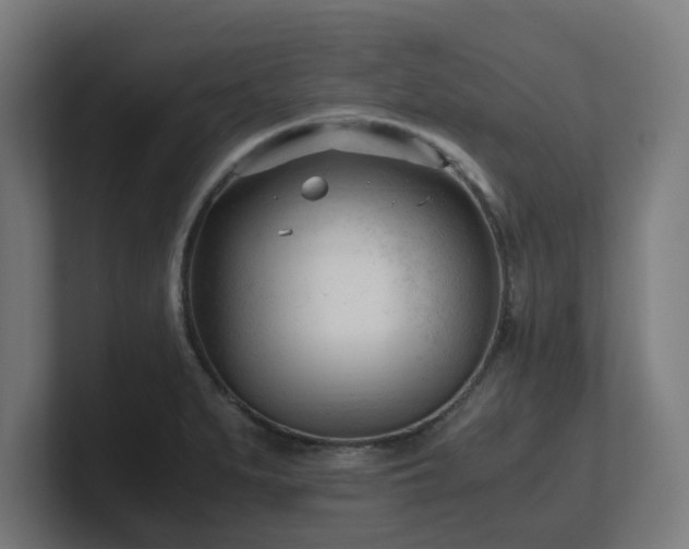 X0000101661279200807171306