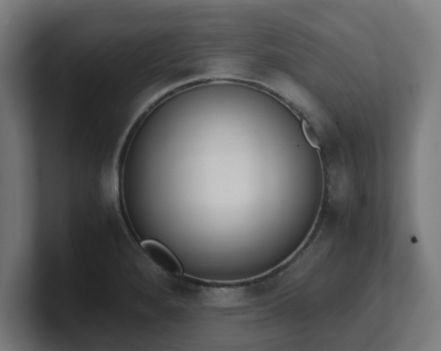 X0000101661280200807171306