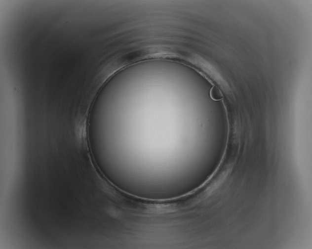 X0000101661281200807171306