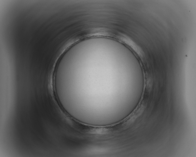 X0000101661282200807171306