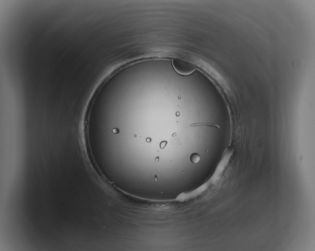 X0000101661283200807171306