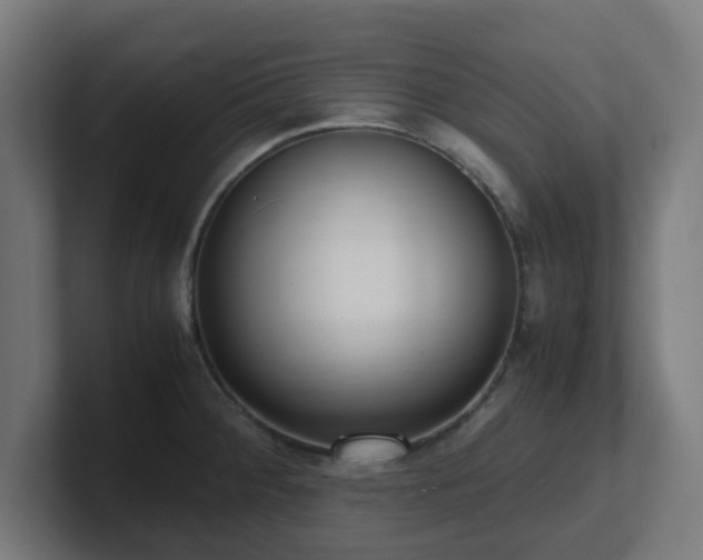 X0000101661284200807171306