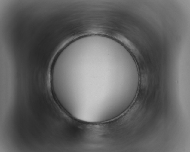 X0000101661286200807171306