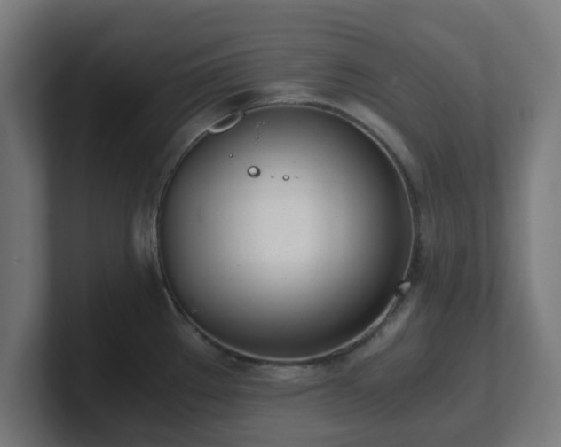 X0000101661289200807171306