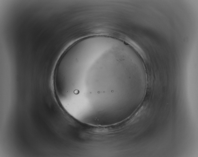 X0000101661291200807171306