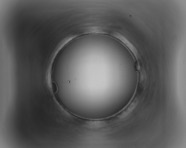 X0000101661293200807171306