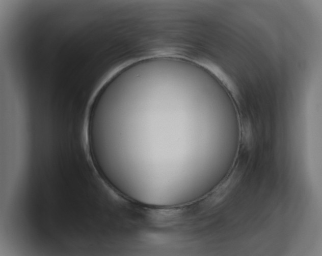 X0000101661294200807171306