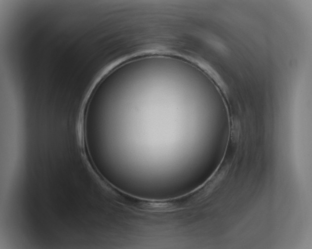 X0000101661295200807171306