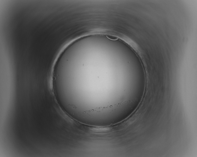 X0000101661296200807171306