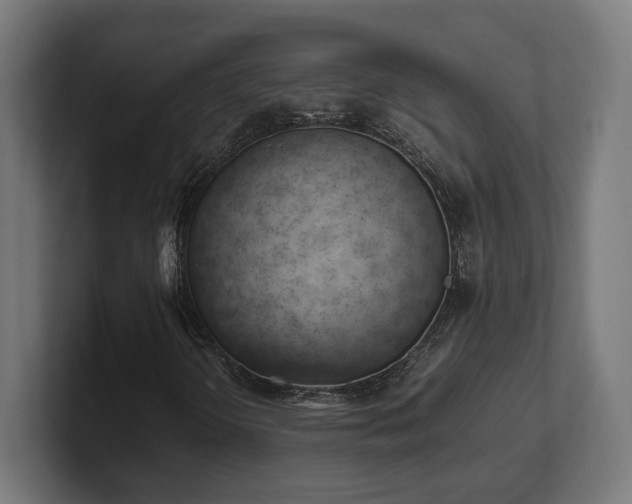 X0000101661298200807171305