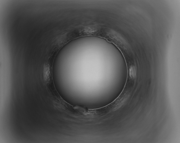 X0000101661299200807171305