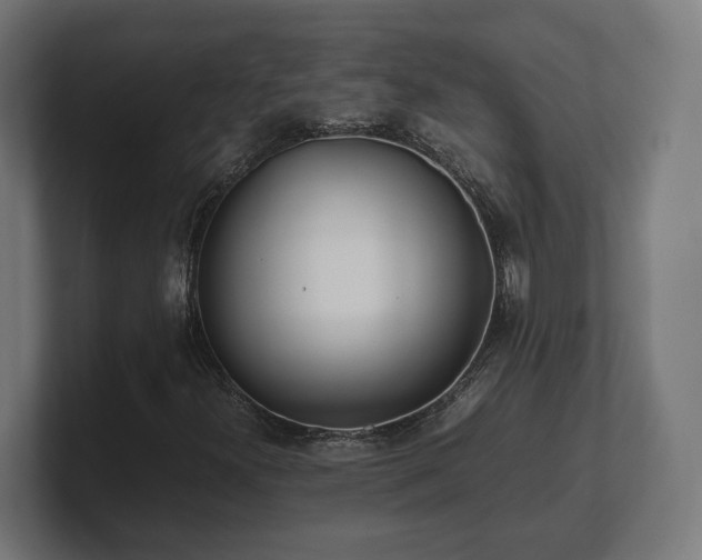 X0000101661300200807171305