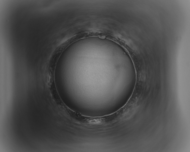 X0000101661303200807171305