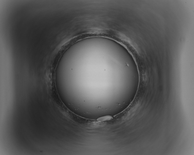 X0000101661304200807171305